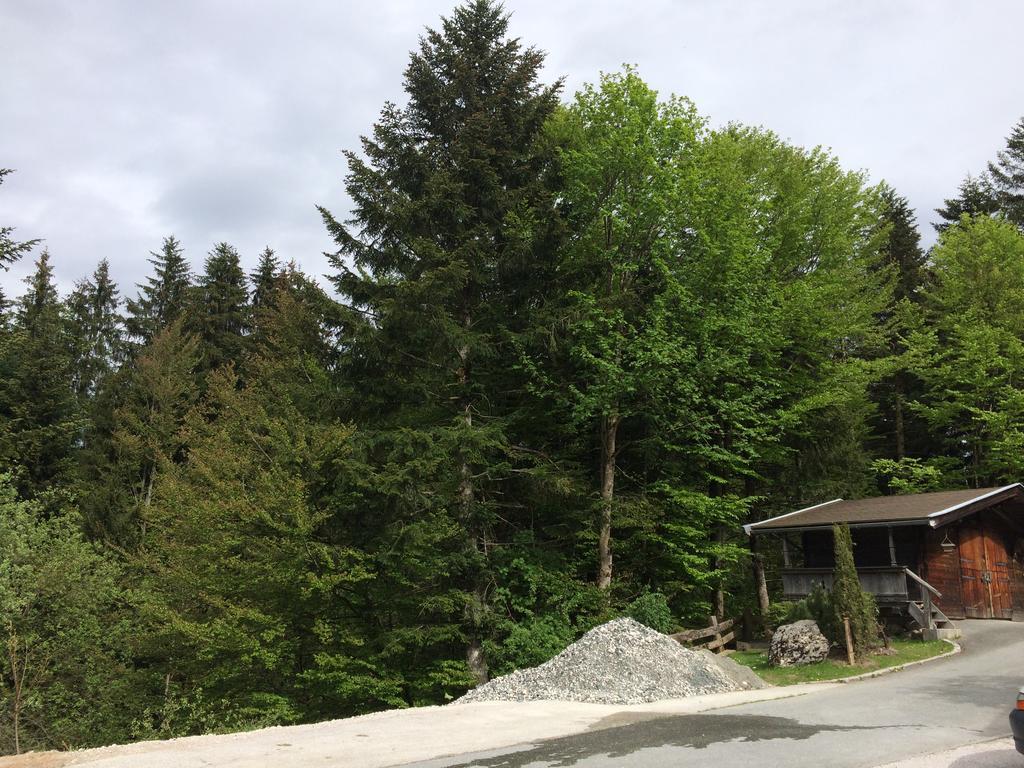 Ferienwohnung Wieser Fieberbrunn Kültér fotó